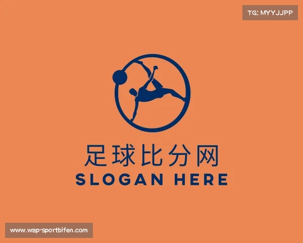 关于足球比分网